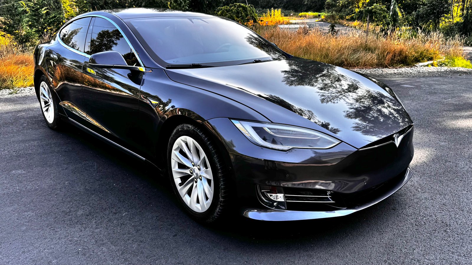 2017 Tesla Model S